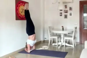 Alkartámasz (Pincha Majurászana), tudatos jelenlét, Monkey Mind irányítása